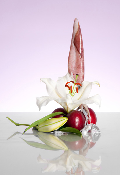 http://www.mophie.ch/files/gimgs/28_naturemorte.jpg